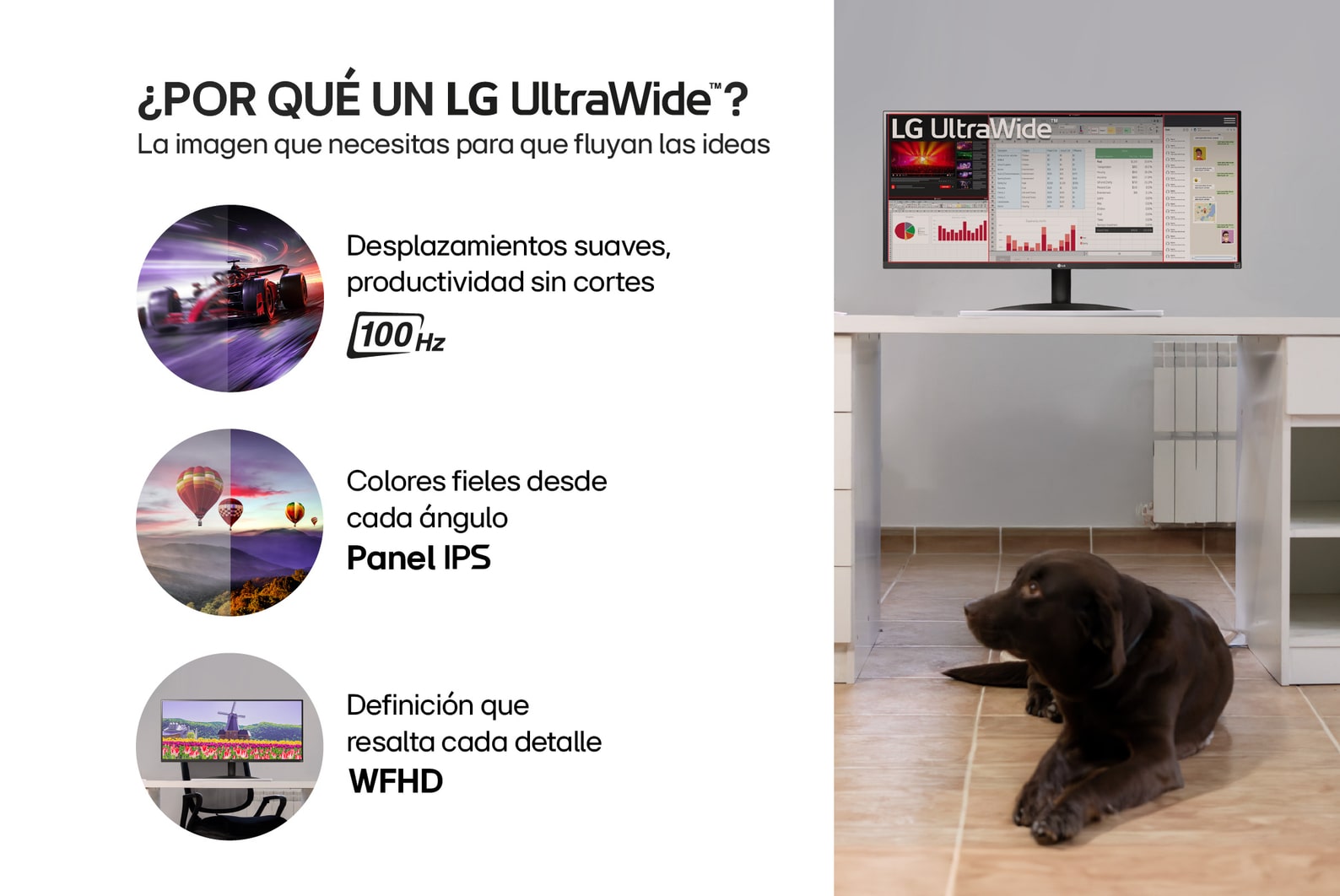 Porque Monitor LG UltraWide 29" WFHD 100Hz